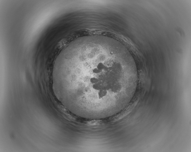 X0000112760761200909031547