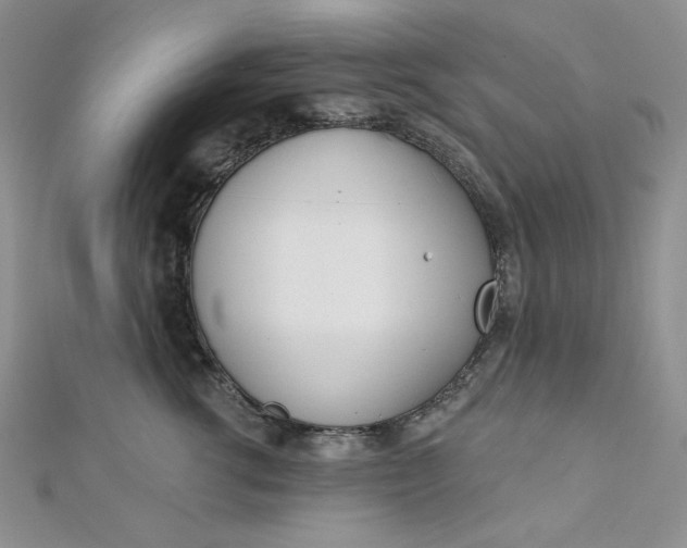 X0000112760762200909031547