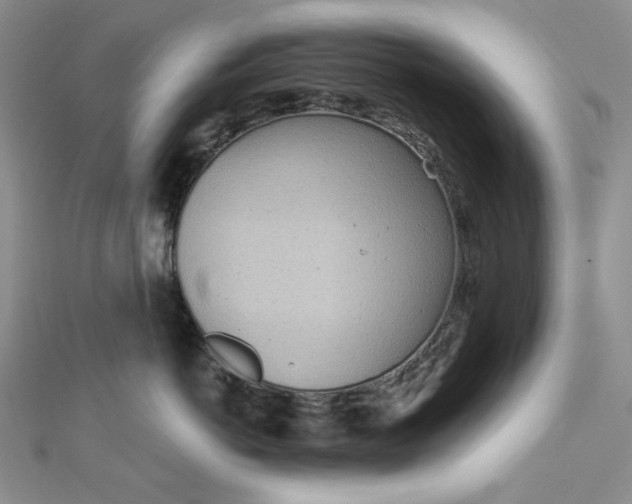 X0000112760766200909031547