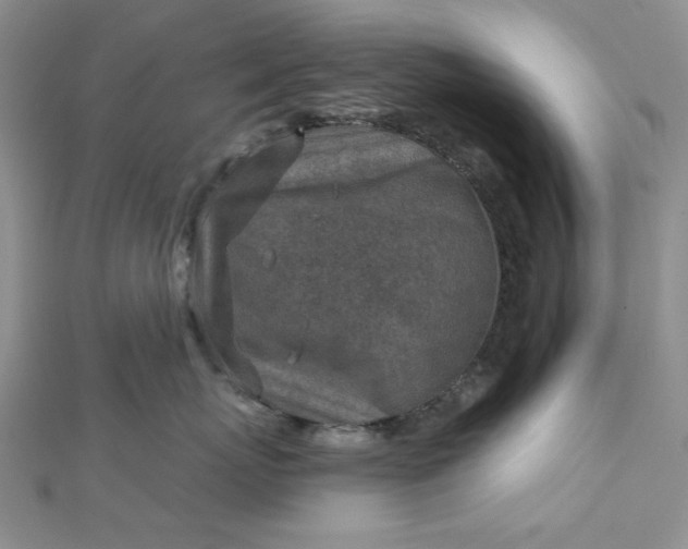 X0000112760767200909031547