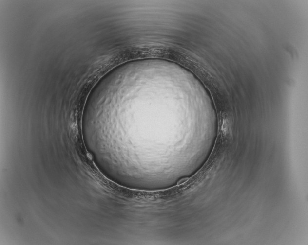 X0000112760771200909031546
