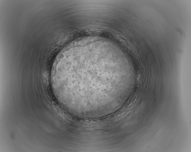 X0000112760772200909031546
