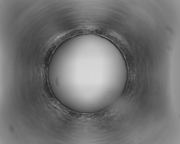 X0000112760773200909031546