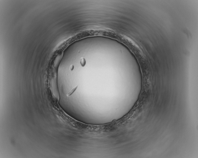 X0000112760775200909031546