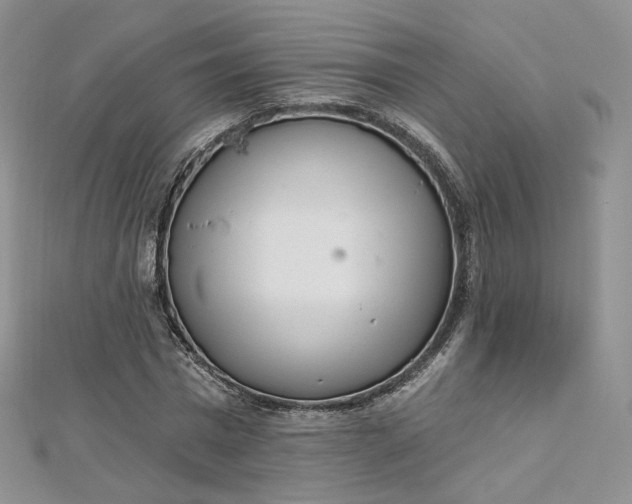 X0000112760777200909031546