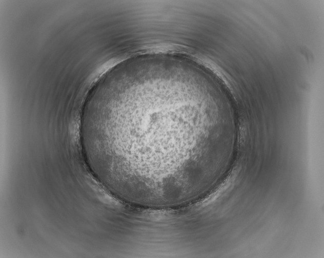 X0000112760778200909031546