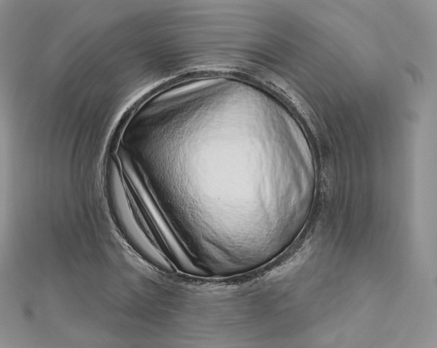 X0000112760779200909031546