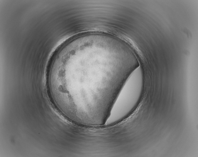 X0000112760780200909031546