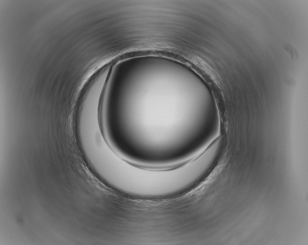 X0000112760781200909031546