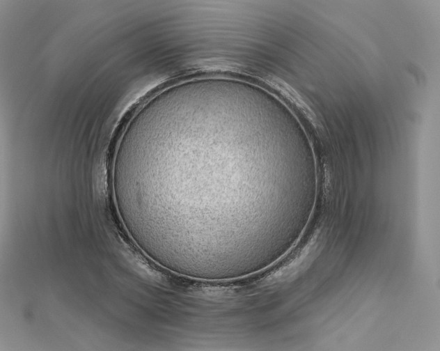 X0000112760782200909031546