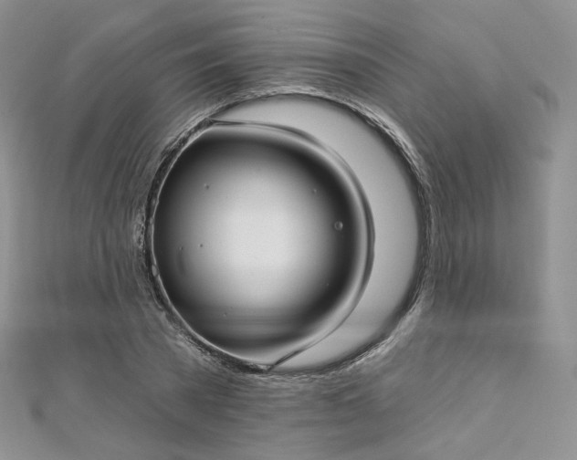 X0000112760785200909031546