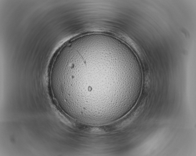 X0000112760787200909031546