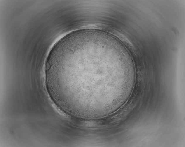 X0000112760792200909031546