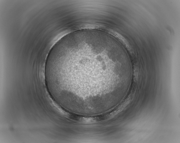 X0000112760794200909031546