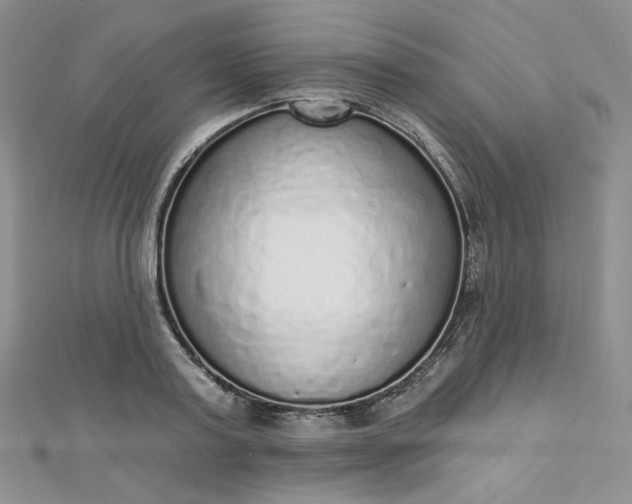X0000112760795200909031546