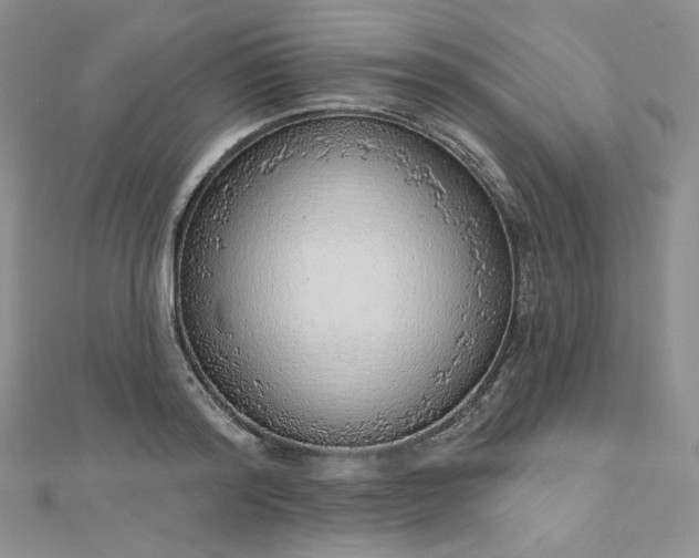 X0000112760796200909031546
