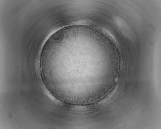 X0000112760800200909031546