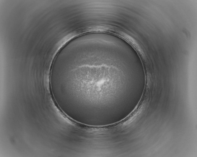 X0000112760802200909031546