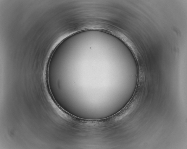 X0000112760803200909031546