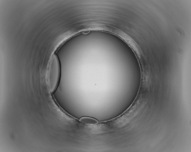 X0000112760805200909031546