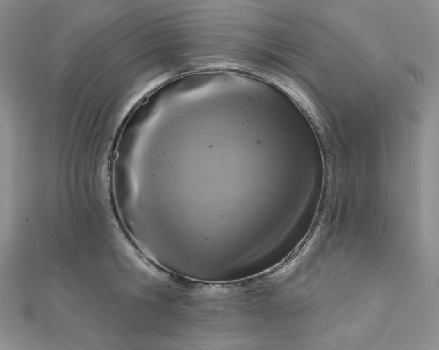X0000112760806200909031546