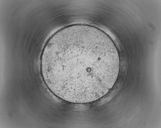 X0000112760807200909031546