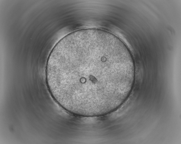 X0000112760810200909031546