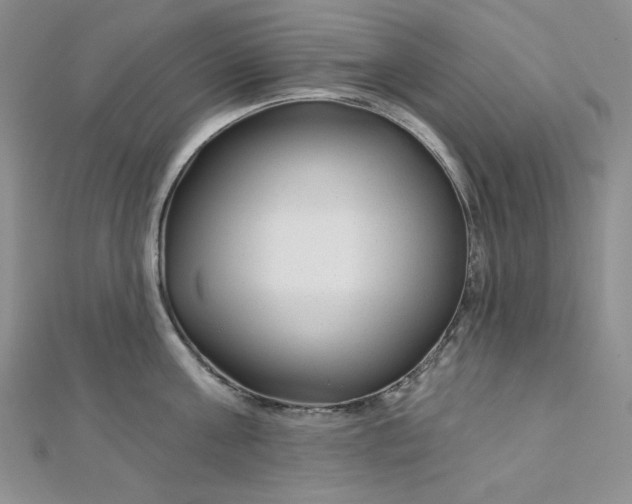 X0000112760811200909031546