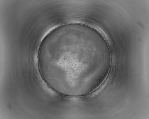 X0000112760814200909031546