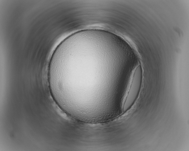 X0000112760816200909031546