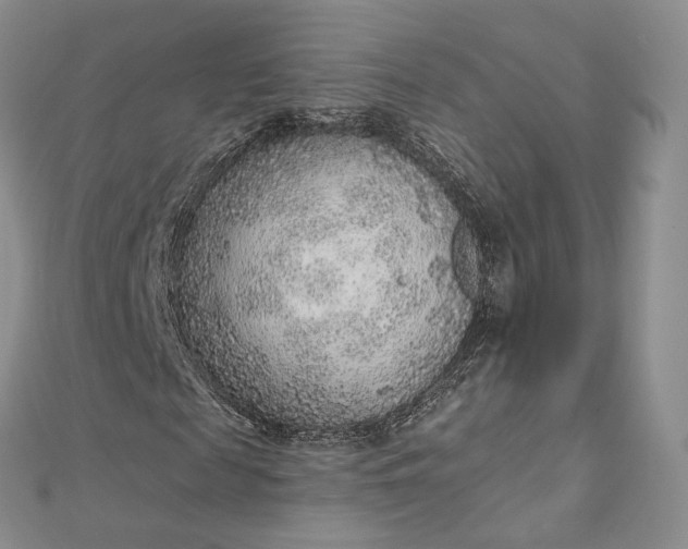 X0000112760817200909031545