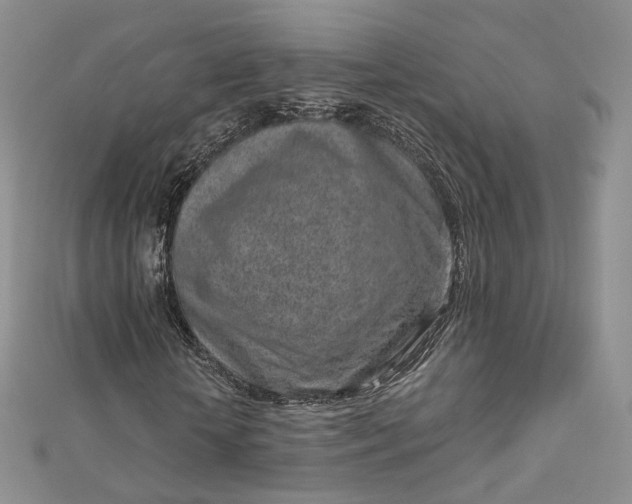 X0000112760818200909031545
