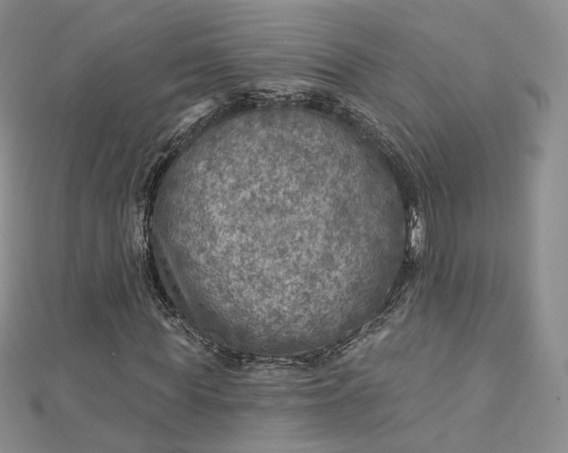 X0000112760819200909031545