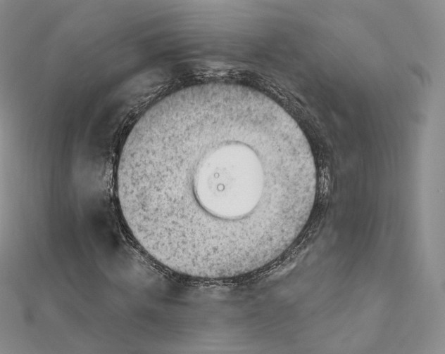 X0000112760820200909031545