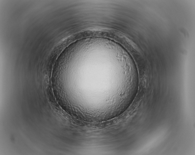 X0000112760821200909031545
