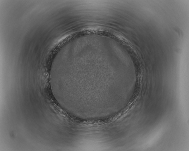 X0000112760822200909031545
