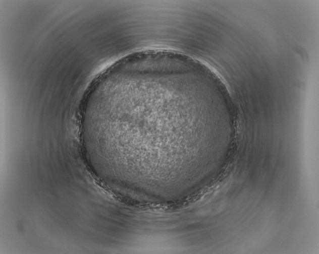 X0000112760823200909031545