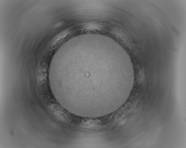 X0000112760824200909031545