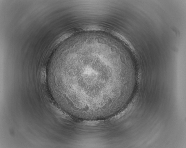 X0000112760825200909031545