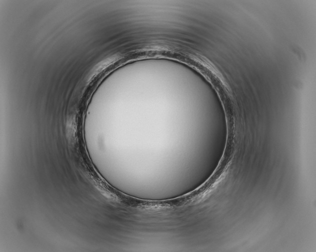 X0000112760826200909031545