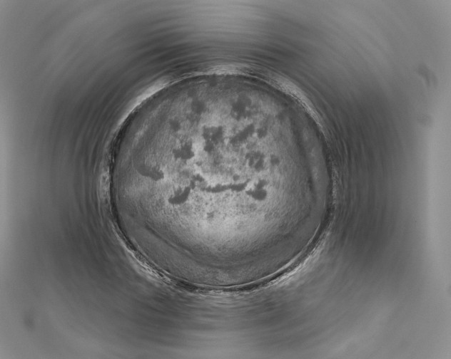 X0000112760827200909031545