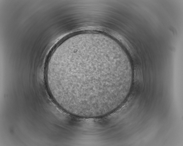 X0000112760828200909031545