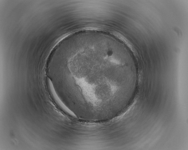 X0000112760829200909031545