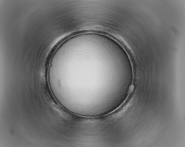 X0000112760830200909031545