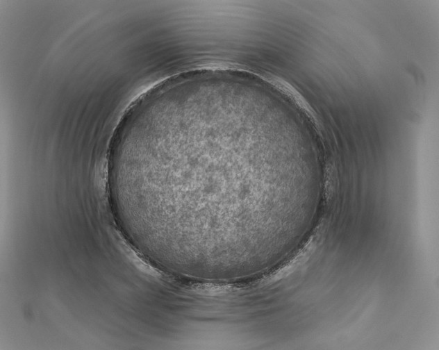 X0000112760831200909031545