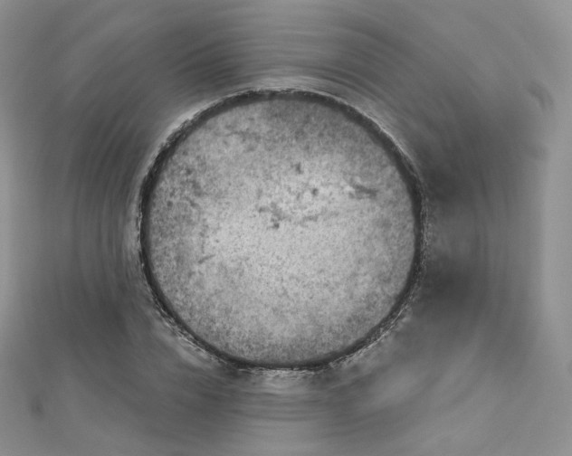 X0000112760832200909031545