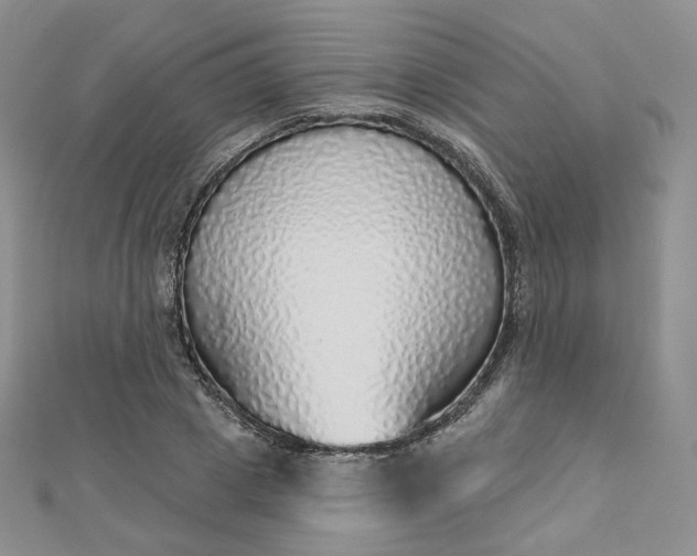 X0000112760833200909031545