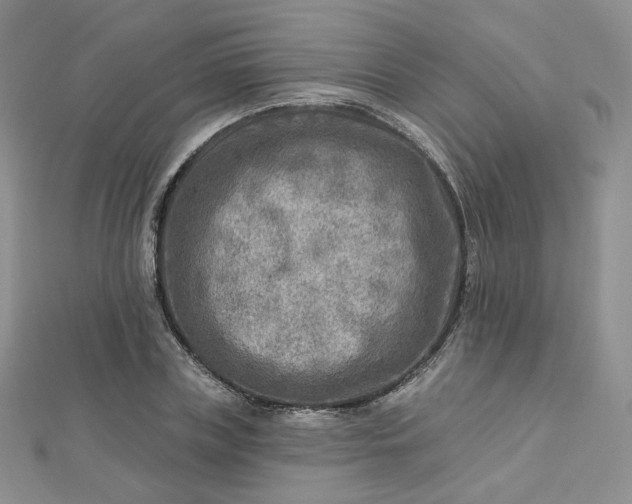 X0000112760835200909031545
