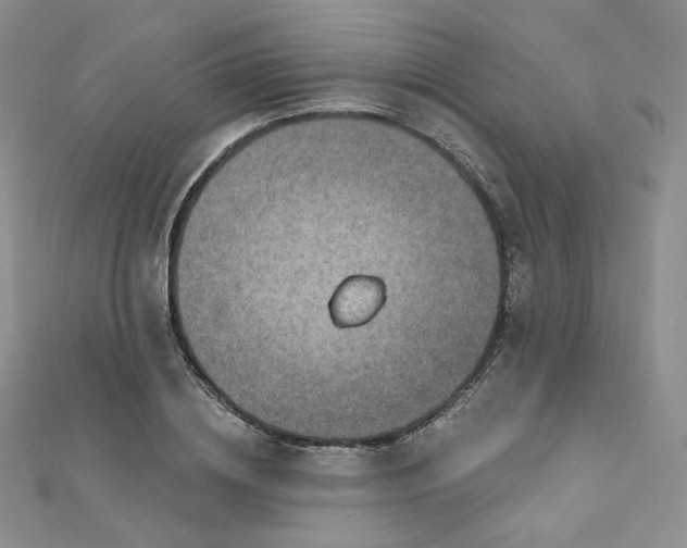 X0000112760836200909031545