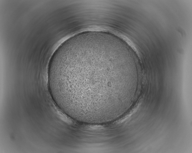 X0000112760837200909031545